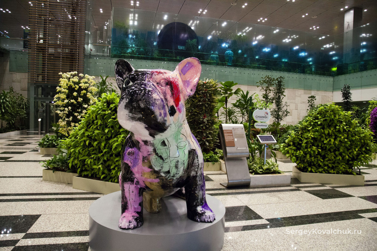 Сад с живыми цветами в аэропорту Чанги