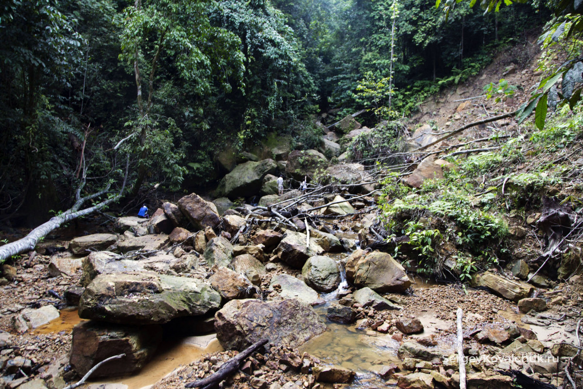 Бруней Cериа Водопад Васаи-Кадир