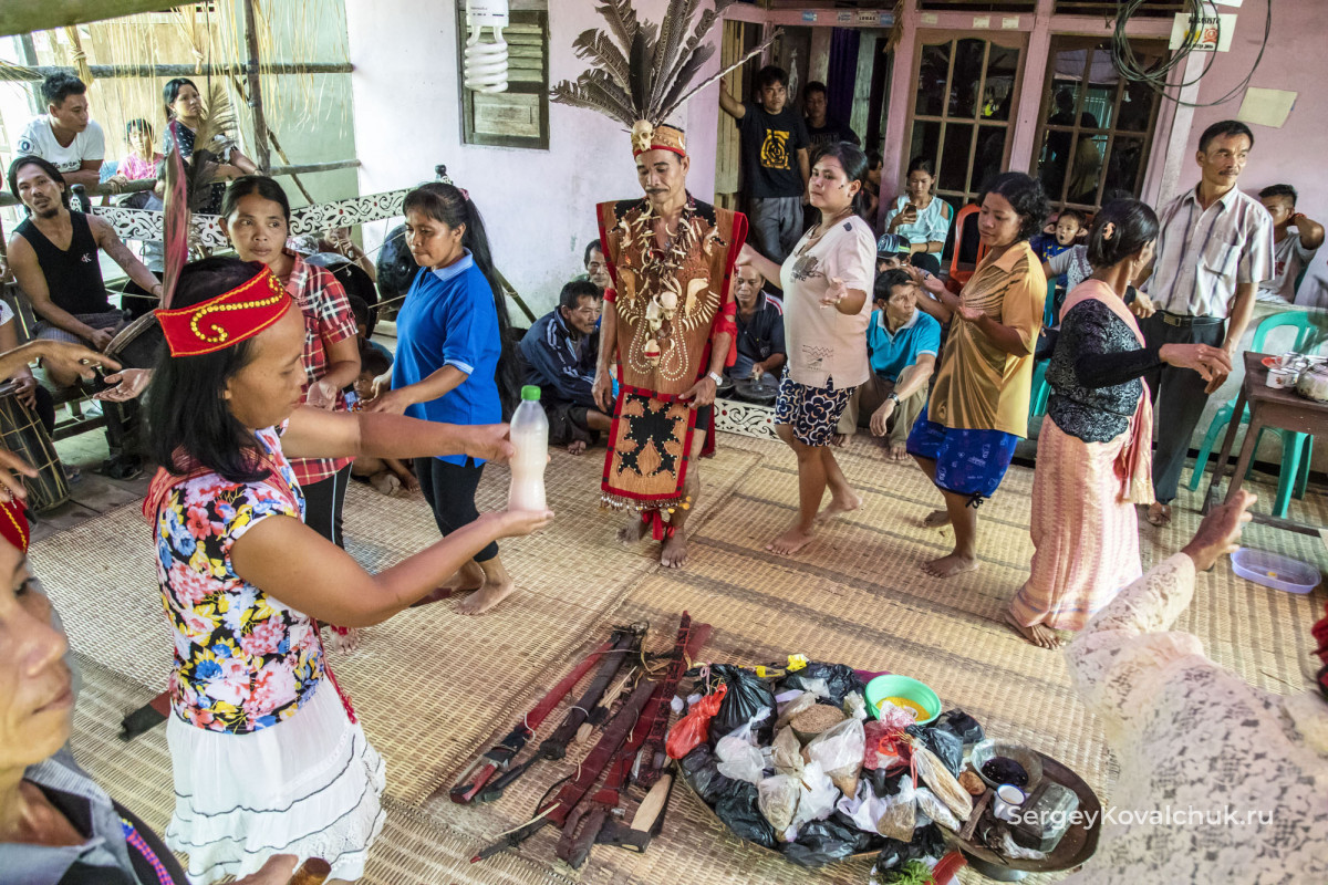 Танцы на даякском празднике Гавай, Западный Калимантан, Индонезия