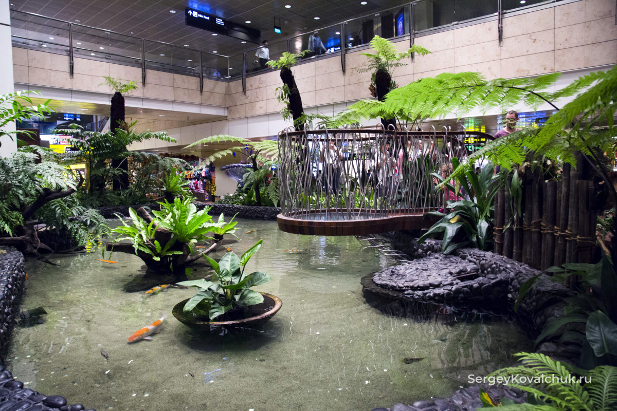 Аэропорт Чанги. Сингапур