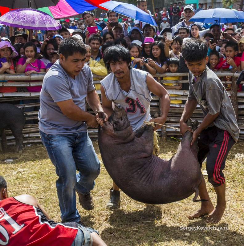 Фестиваль Grand Cordillera в городе Багио