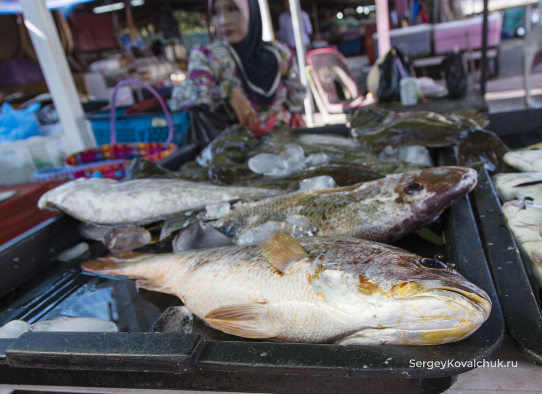 Рынок Таму-Кьянге