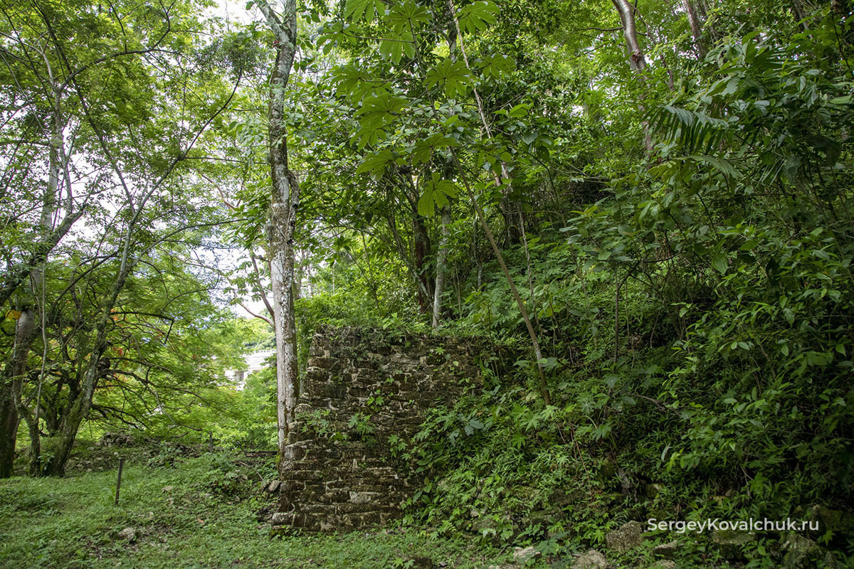 Руины древнего города майя