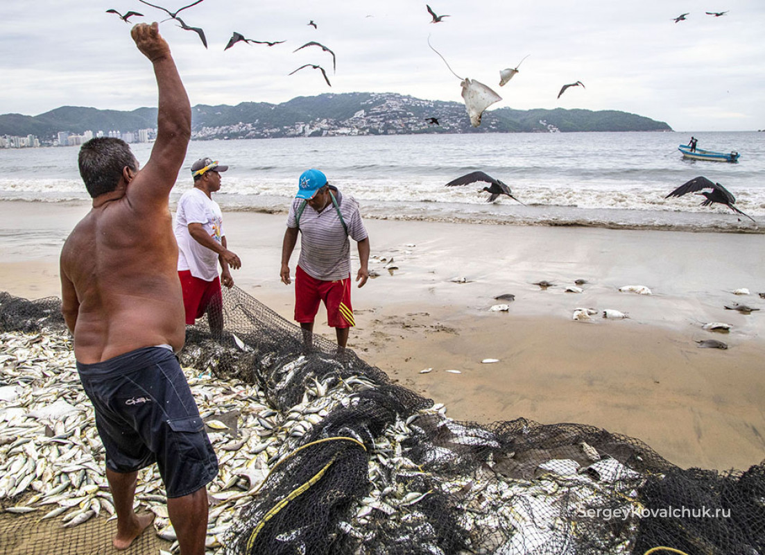 Рыбаки в Акапулько