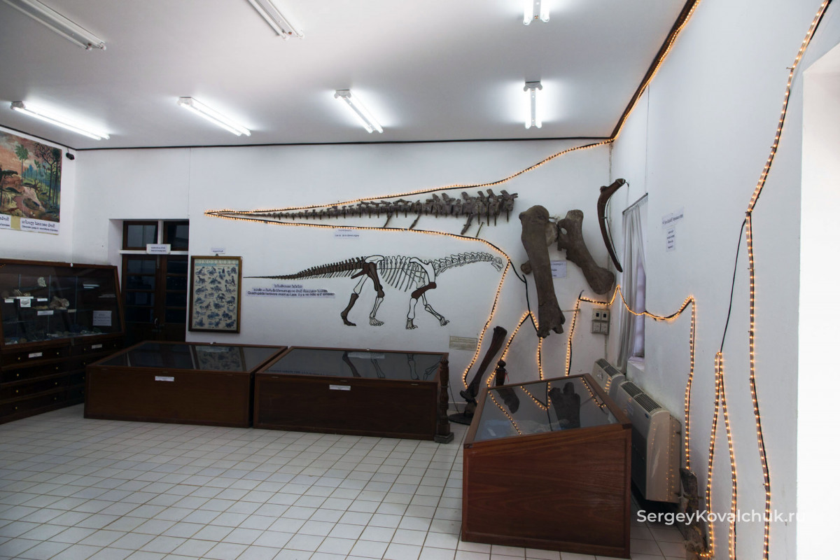 Экспозиция Музея динозавров В Саваннакхете