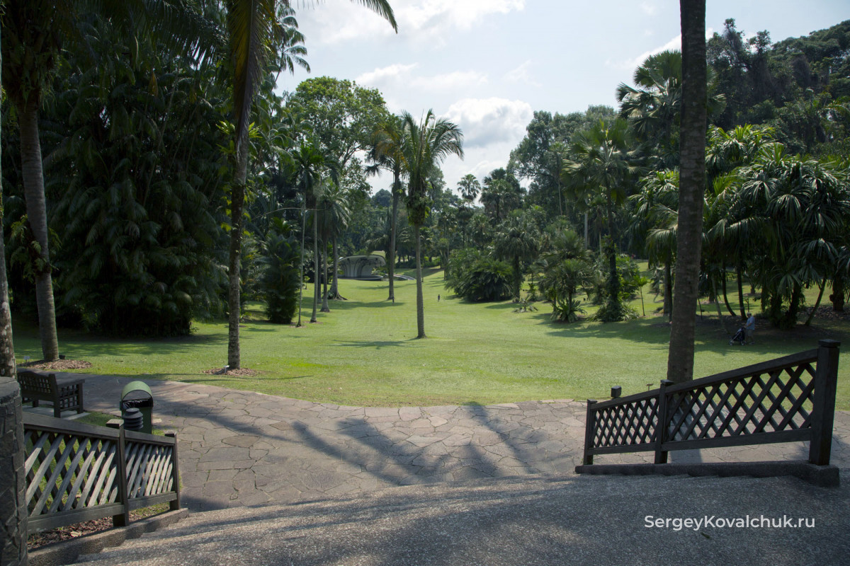 В Ботаническом саду Сингапура