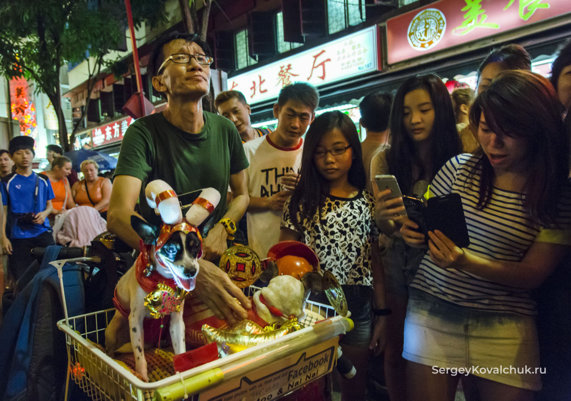 Празднование китайского Нового года на улицах Сингапура