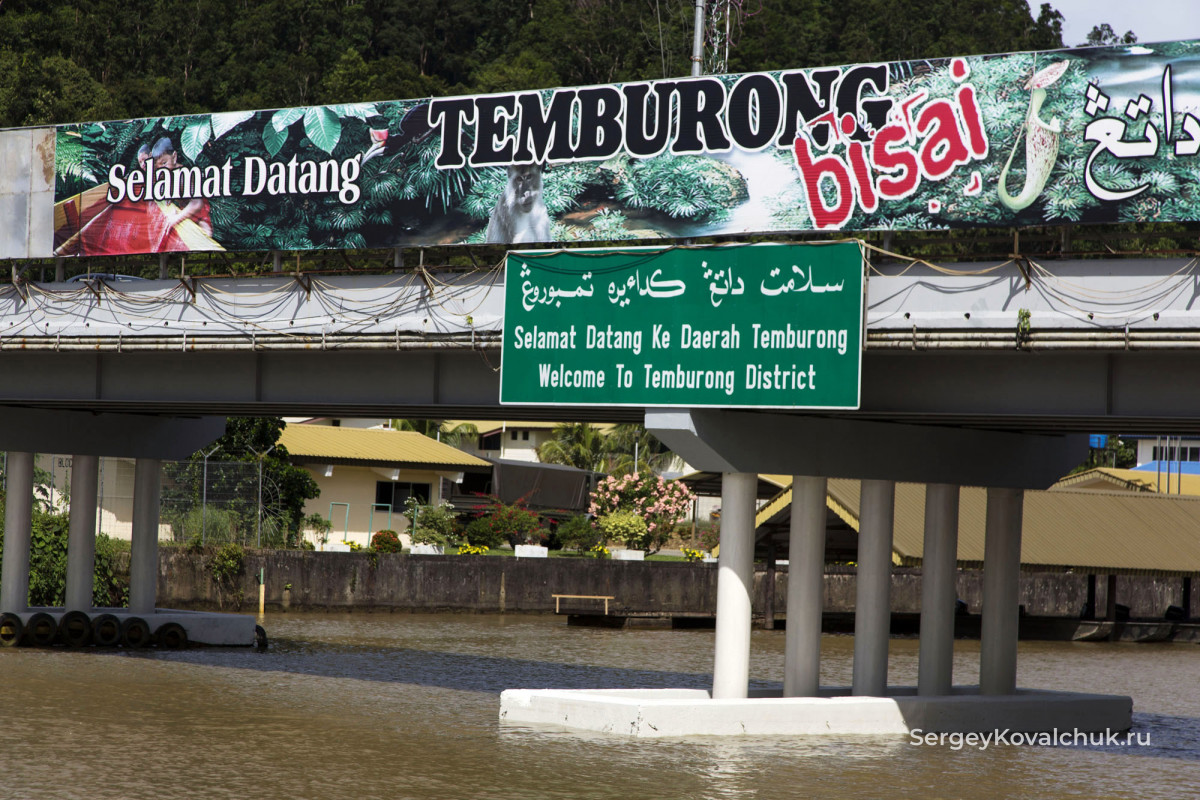 Бруней Тембуронг