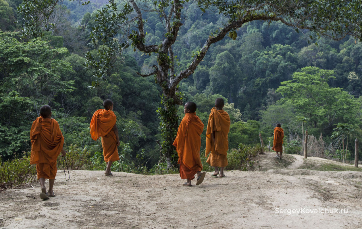 Юные монахи направляются в родную деревню