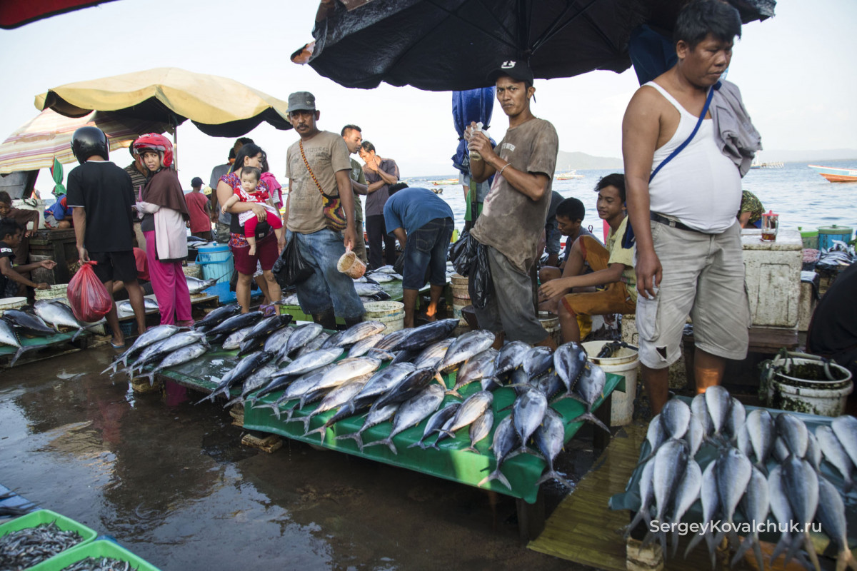 Рыбная ловля в Западной Суматре