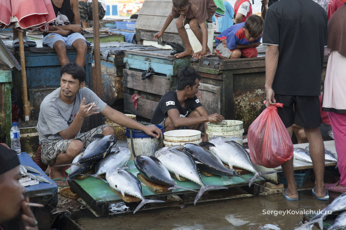 Рыбалка, Индонезия