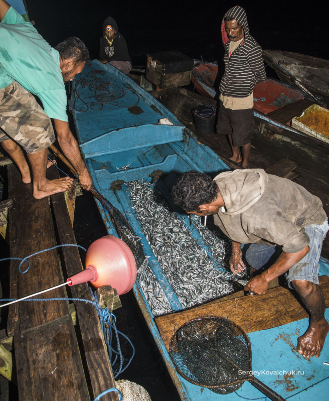 Традиционная способ рыбалки на Молуккских островах
